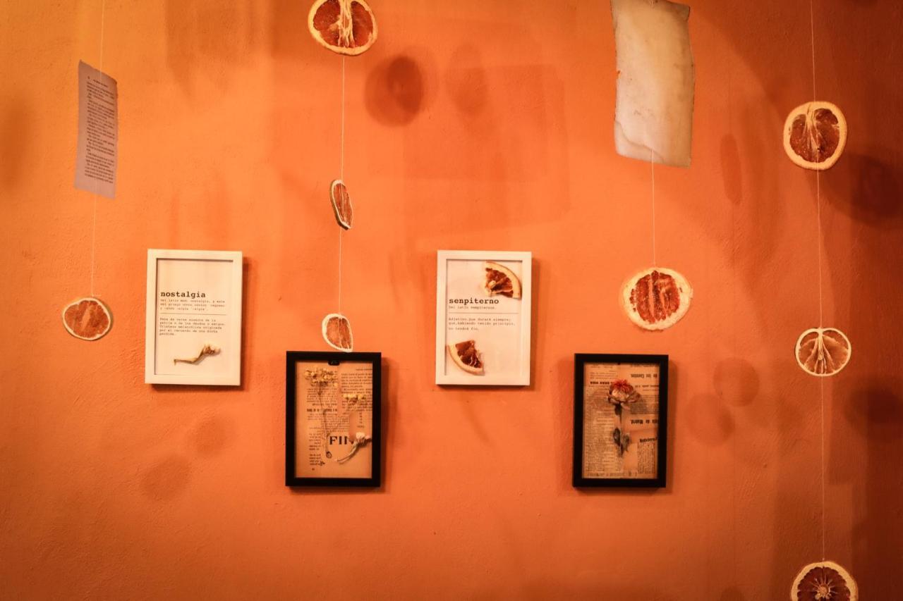 Kuka Y Letras Bed & Breakfast Merida Luaran gambar